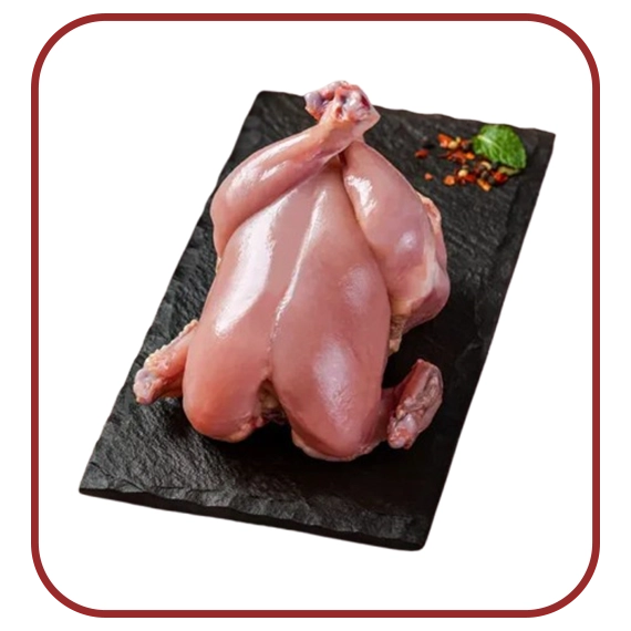 Broiler Chicken